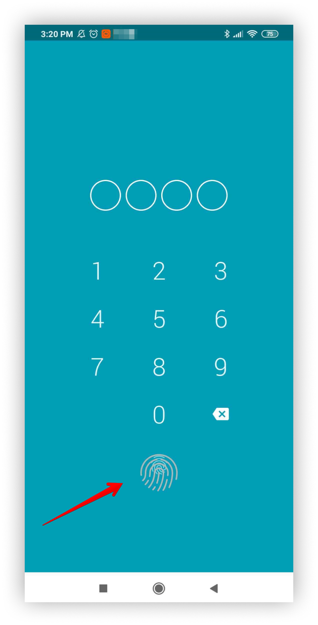 You can also activate fingerprint login.